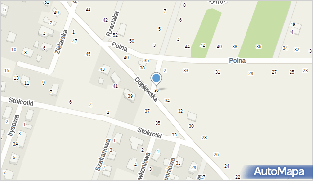 Gołuski, Dopiewska, 36, mapa Gołuski