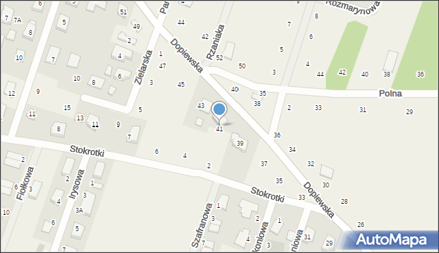 Gołuski, Dopiewska, 41, mapa Gołuski