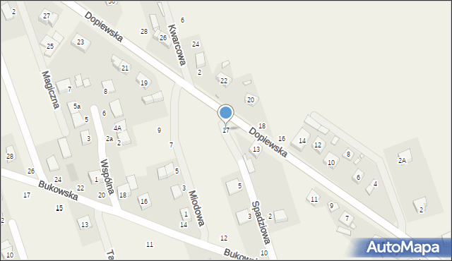 Konarzewo, Dopiewska, 17, mapa Konarzewo
