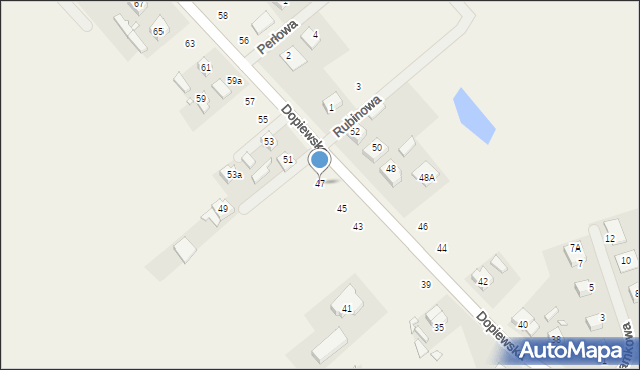 Konarzewo, Dopiewska, 47, mapa Konarzewo