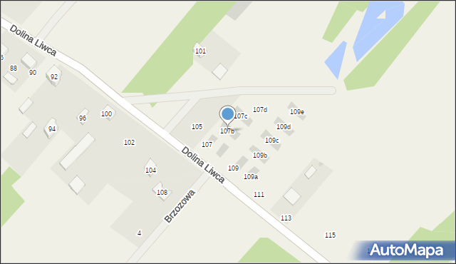 Pruszyn, Dolina Liwca, 107b, mapa Pruszyn