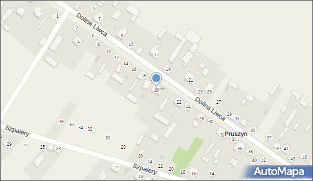 Pruszyn, Dolina Liwca, 20, mapa Pruszyn