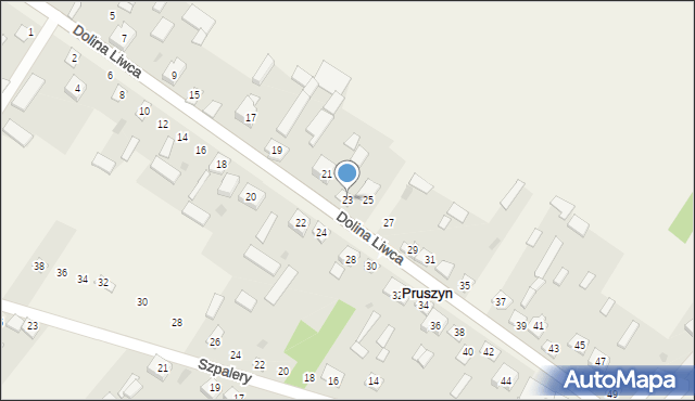 Pruszyn, Dolina Liwca, 23, mapa Pruszyn