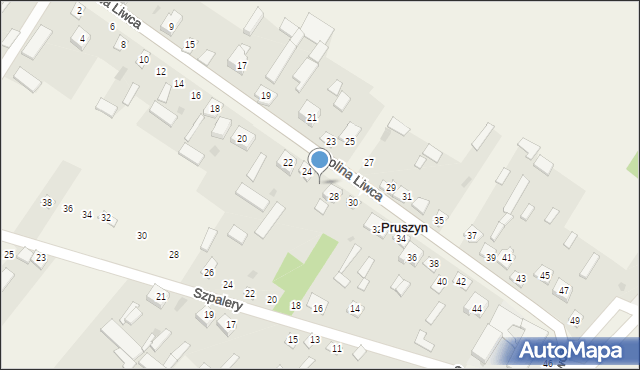 Pruszyn, Dolina Liwca, 26, mapa Pruszyn