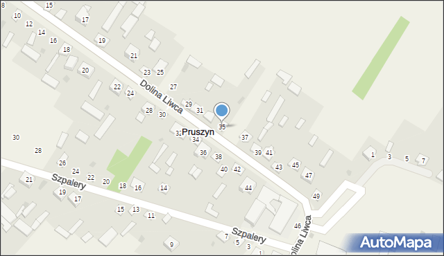 Pruszyn, Dolina Liwca, 35, mapa Pruszyn