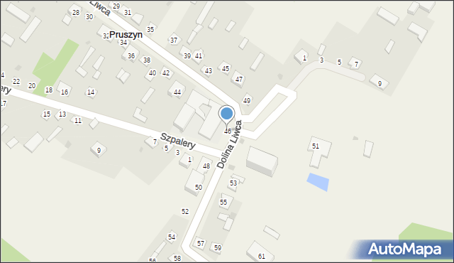 Pruszyn, Dolina Liwca, 46, mapa Pruszyn