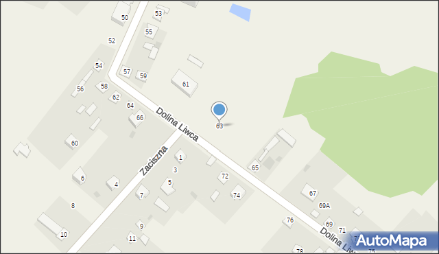 Pruszyn, Dolina Liwca, 63, mapa Pruszyn