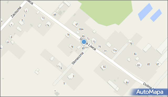 Pruszyn, Dolina Liwca, 80, mapa Pruszyn