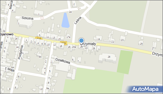 Bojanowo, Drzymały, 20, mapa Bojanowo