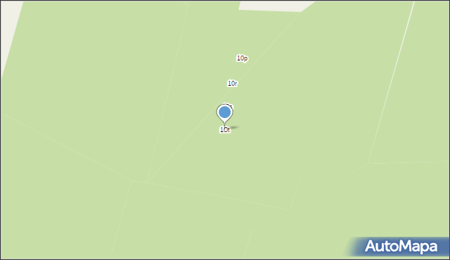 Drzewociny, Drzewociny, 10t, mapa Drzewociny