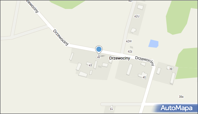 Drzewociny, Drzewociny, 42, mapa Drzewociny