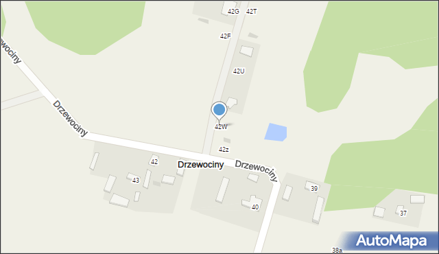 Drzewociny, Drzewociny, 42W, mapa Drzewociny