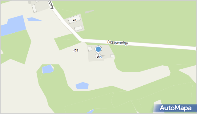 Drzewociny, Drzewociny, 45A, mapa Drzewociny