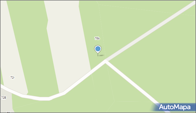 Drzewociny, Drzewociny, 76a, mapa Drzewociny