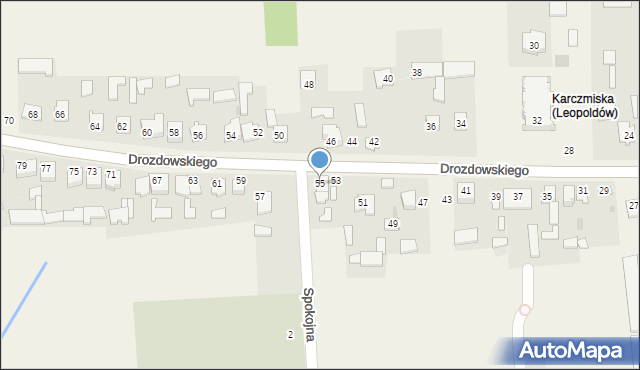 Leopoldów, Drozdowskiego, ks., 55, mapa Leopoldów