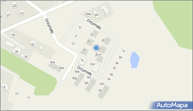 Lubajny, Drzymały Michała, 37, mapa Lubajny