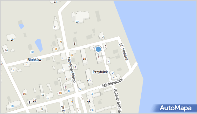 Nieszawa, Drzewna, 1, mapa Nieszawa