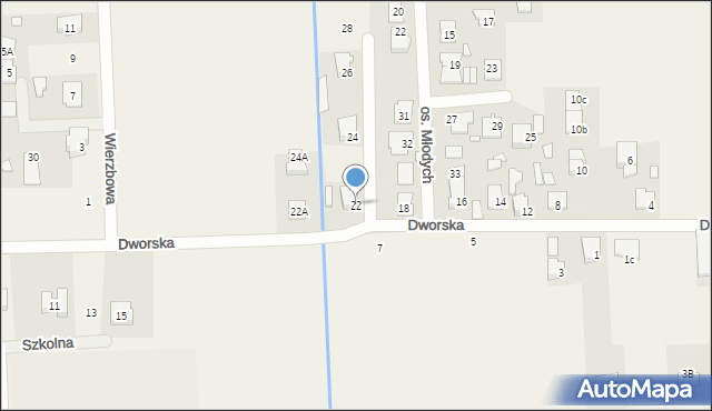 Dobczyn, Dworska, 22, mapa Dobczyn
