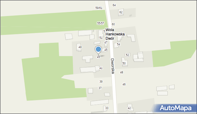 Wola Hankowska, Dworska, 43, mapa Wola Hankowska