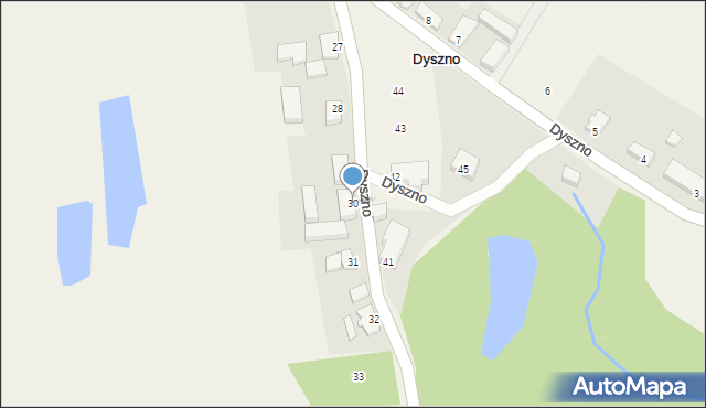 Dyszno, Dyszno, 30, mapa Dyszno