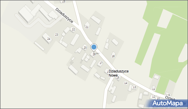 Dziaduszyce, Dziaduszyce, 19, mapa Dziaduszyce
