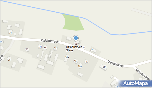 Dziaduszyce, Dziaduszyce, 31, mapa Dziaduszyce