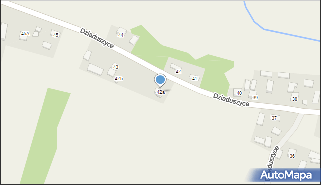 Dziaduszyce, Dziaduszyce, 42a, mapa Dziaduszyce