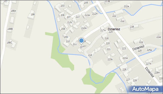 Dzianisz, Dzianisz, 217, mapa Dzianisz