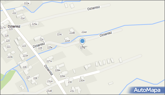 Dzianisz, Dzianisz, 225g, mapa Dzianisz