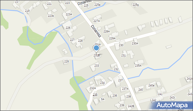Dzianisz, Dzianisz, 231B, mapa Dzianisz