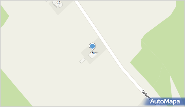 Dziarny, Dziarny, 25b, mapa Dziarny
