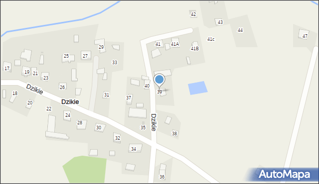 Dzikie, Dzikie, 39, mapa Dzikie