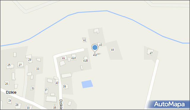Dzikie, Dzikie, 41c, mapa Dzikie