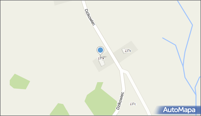 Dzikowiec, Dzikowiec, 137a, mapa Dzikowiec