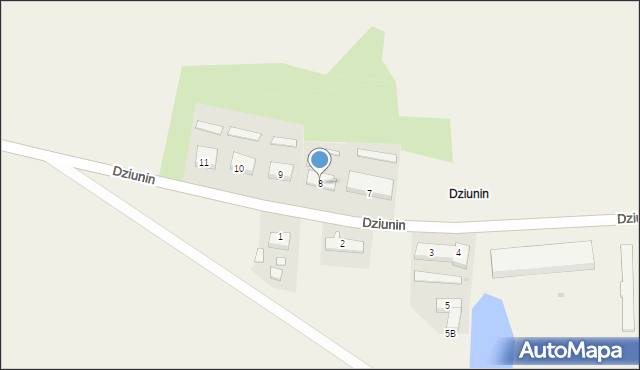 Dziunin, Dziunin, 8, mapa Dziunin