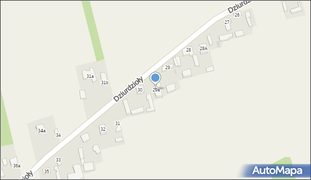 Dziurdzioły, Dziurdzioły, 29a, mapa Dziurdzioły