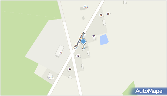 Dziurdzioły, Dziurdzioły, 41, mapa Dziurdzioły