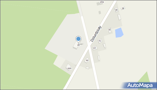 Dziurdzioły, Dziurdzioły, 42, mapa Dziurdzioły