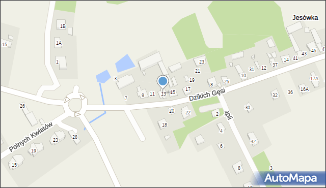 Jesówka, Dzikich Gęsi, 13, mapa Jesówka