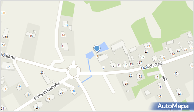 Jesówka, Dzikich Gęsi, 3, mapa Jesówka