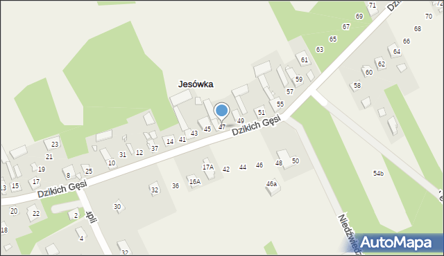 Jesówka, Dzikich Gęsi, 47, mapa Jesówka