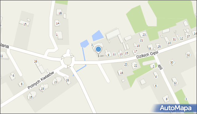 Jesówka, Dzikich Gęsi, 7, mapa Jesówka