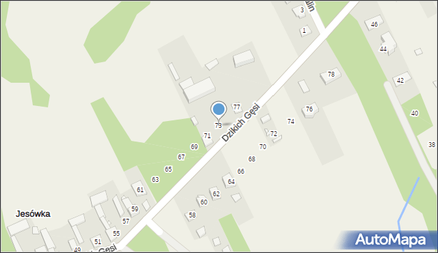 Jesówka, Dzikich Gęsi, 73, mapa Jesówka