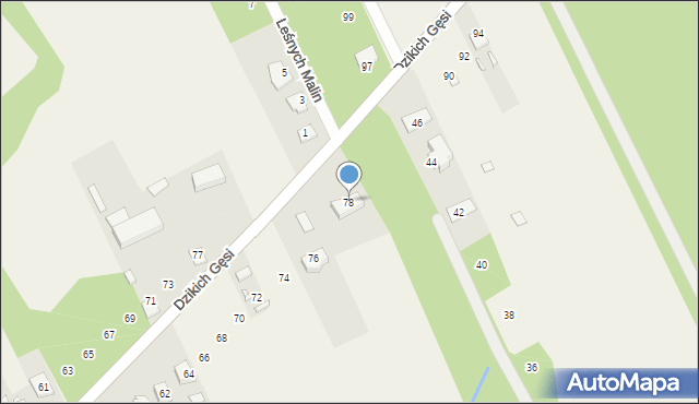 Jesówka, Dzikich Gęsi, 78, mapa Jesówka
