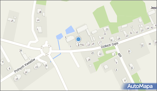 Jesówka, Dzikich Gęsi, 9, mapa Jesówka