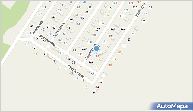 Lgiń, Działki, 113, mapa Lgiń