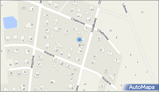 Maszewo Duże, Działkowa, 45, mapa Maszewo Duże
