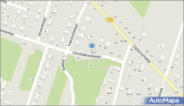 Tomaszów Mazowiecki, Dziubałtowskiego Seweryna, prof., 21, mapa Tomaszów Mazowiecki