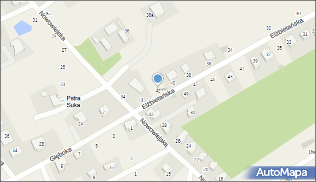 Borkowo, Elżbietańska, 42, mapa Borkowo