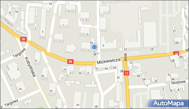Krotoszyn, Fabryczna, 1B, mapa Krotoszyna